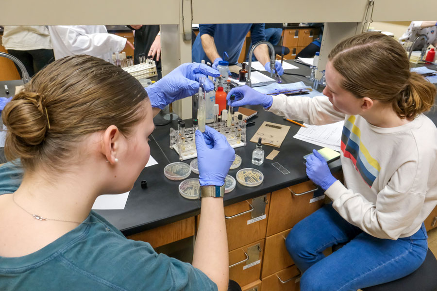 Two students examine petri dish