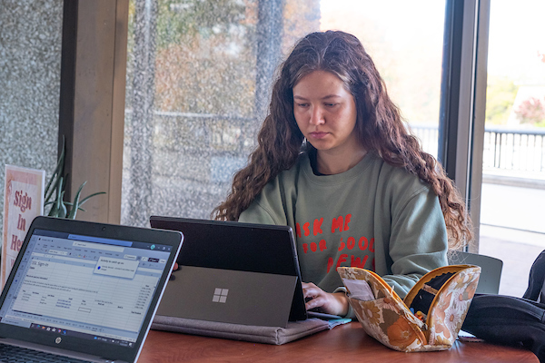 Student studying on laptop