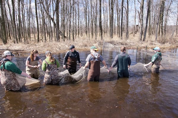 Students study prehistoric sturgeon