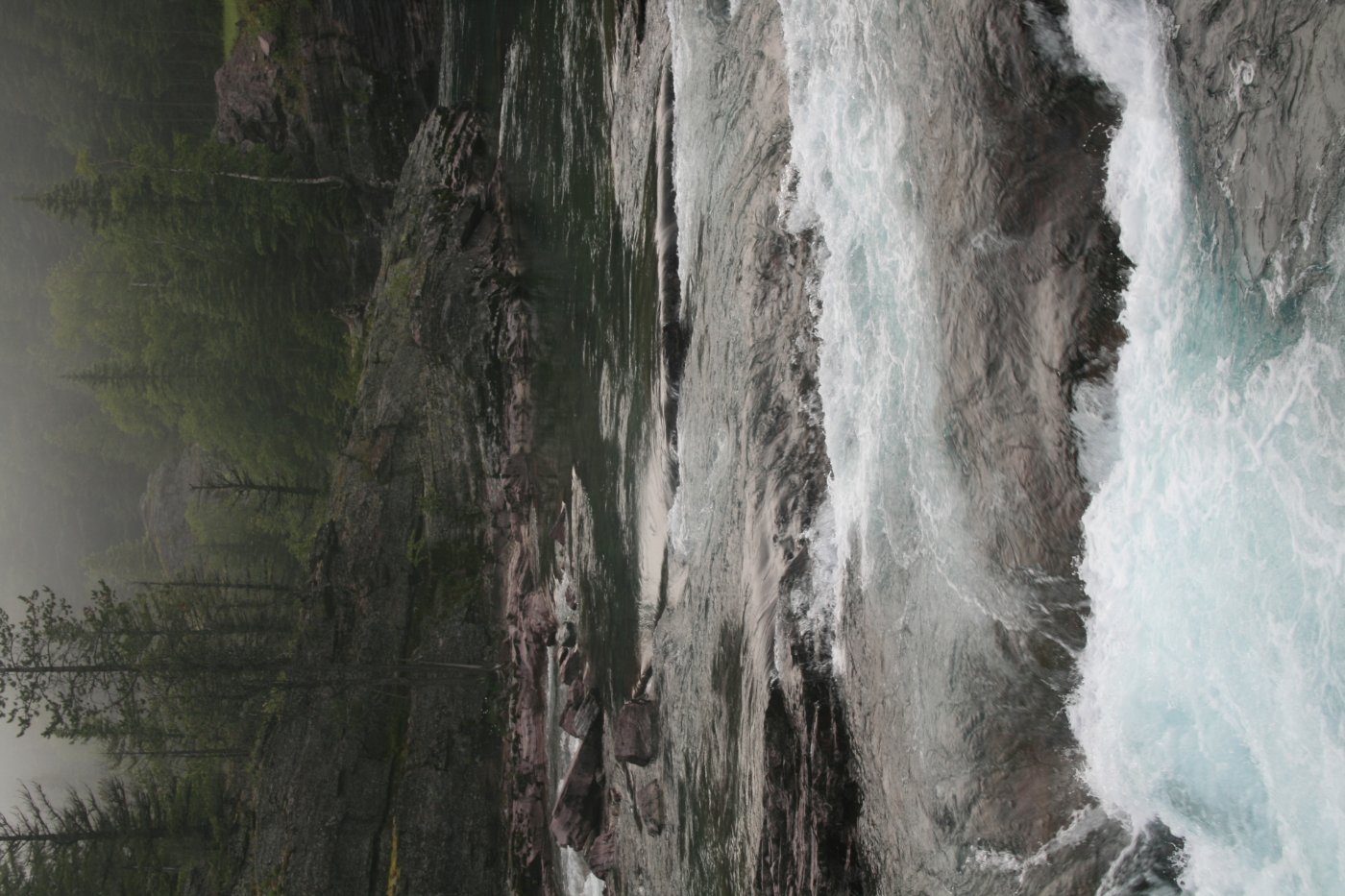 Photo of rapids in a misty forest.