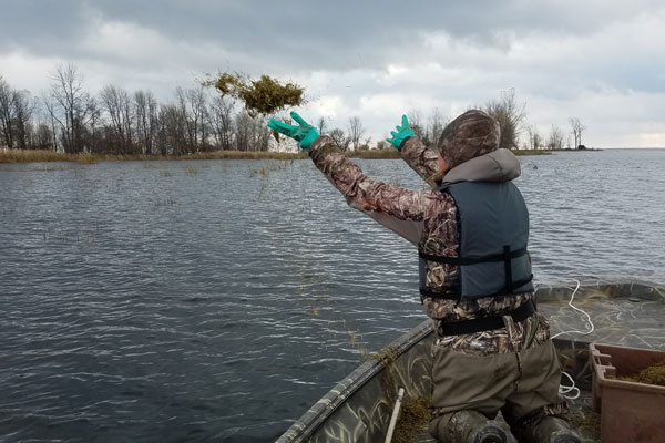 Student in boat throwing seeds into water