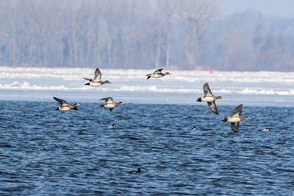 Green Bay Open Water West