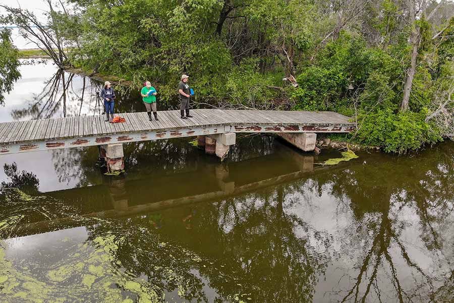 Coastal wetland surveyors