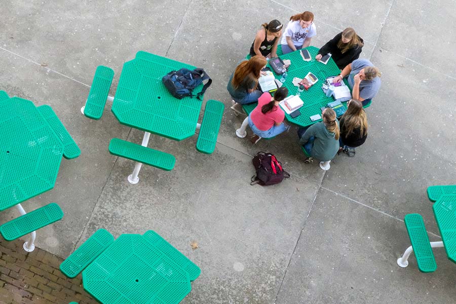 Overhead view of students studying outdoors