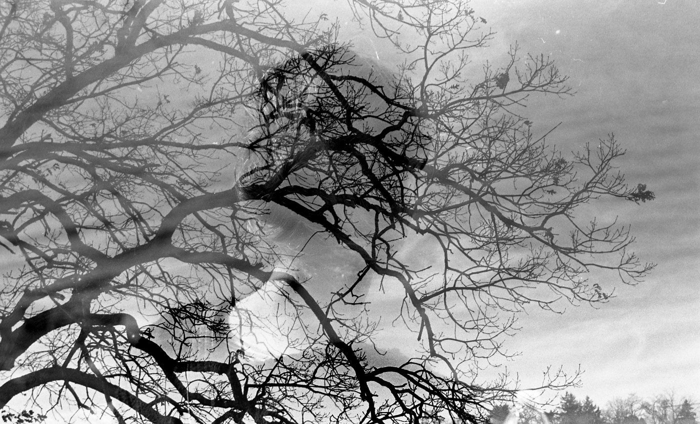 Double exposure black and white image of a woman in profile superimposed over tree branches reaching across the sky.