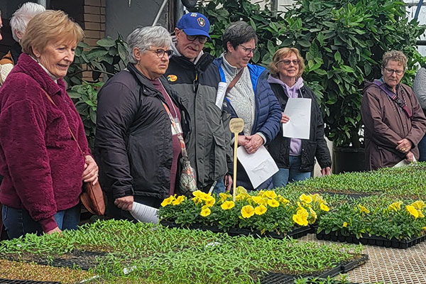 Visiting a greenhouse