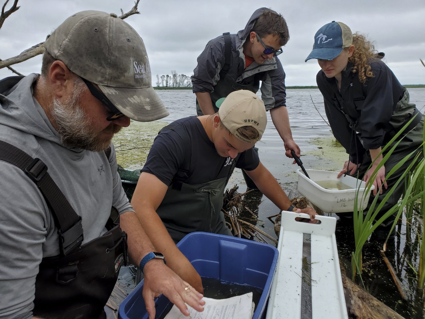 Group of people researching in the water