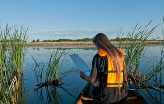 Students studying water