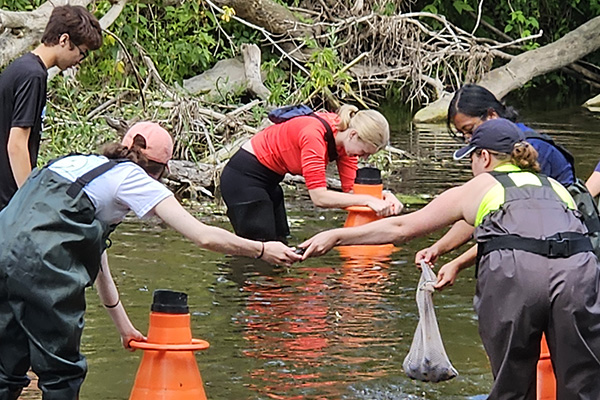 Students gathering data in a stream