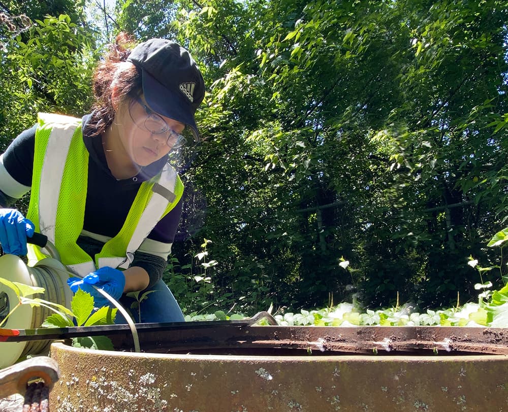 Maria Yang working in the field