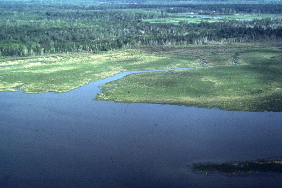 Historic photo of Green Bay shoreline