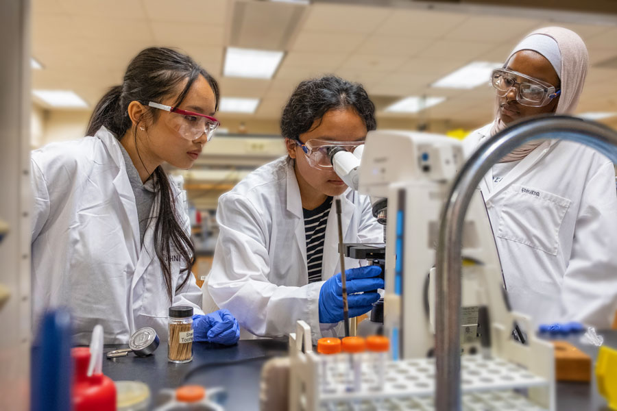 Three female students work in lab