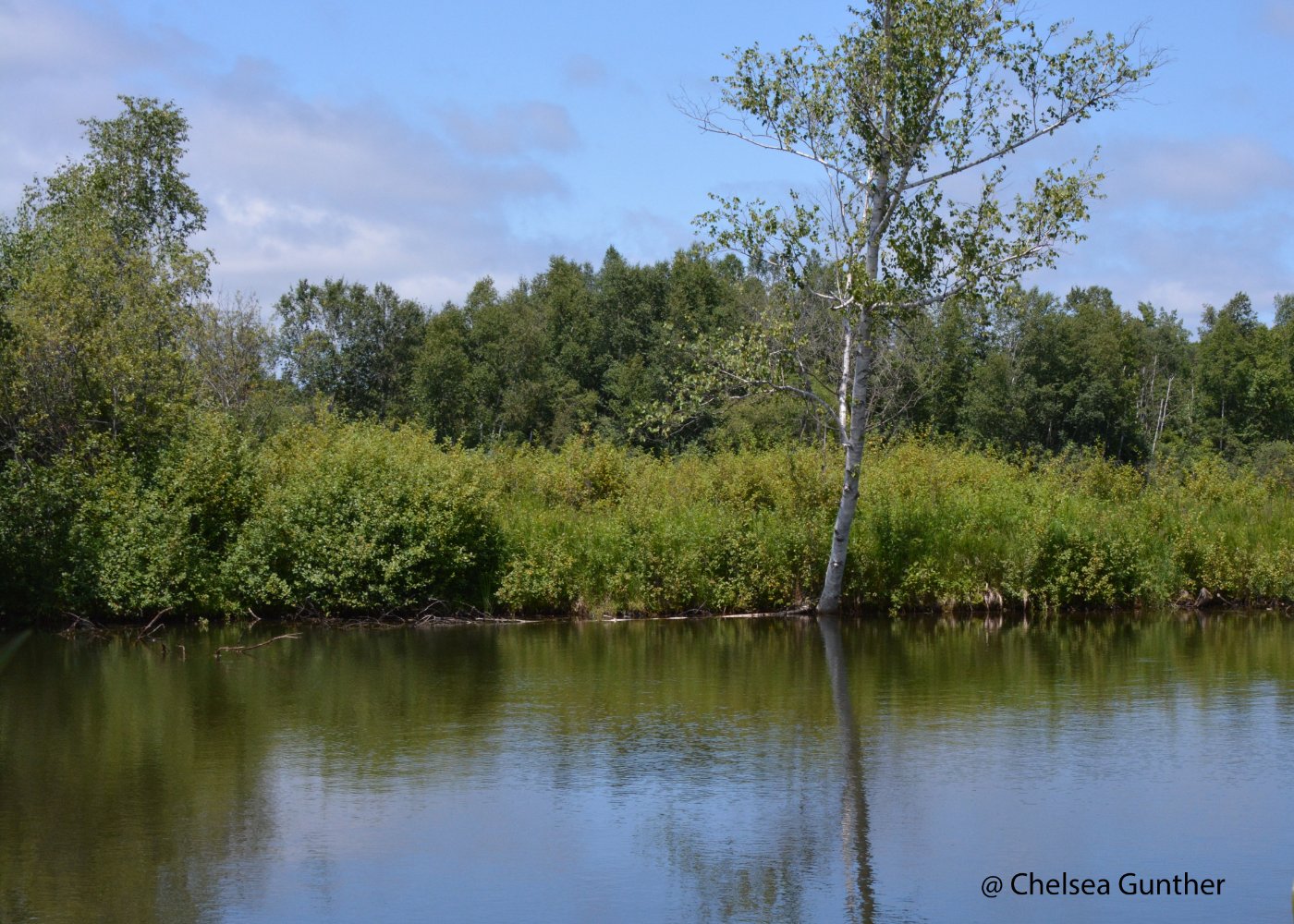 Tributary Open Water