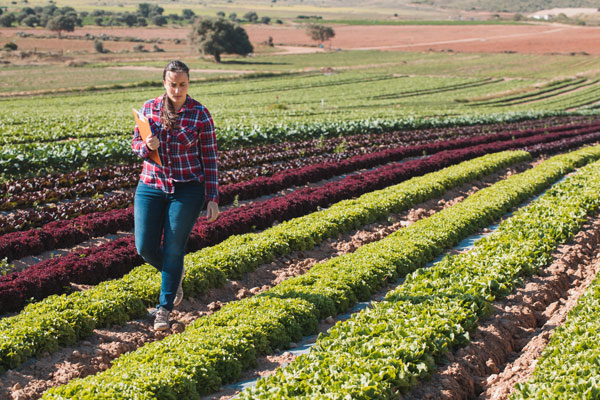 Female worker works on farmland