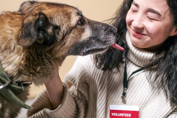 Female works with rescue dogs