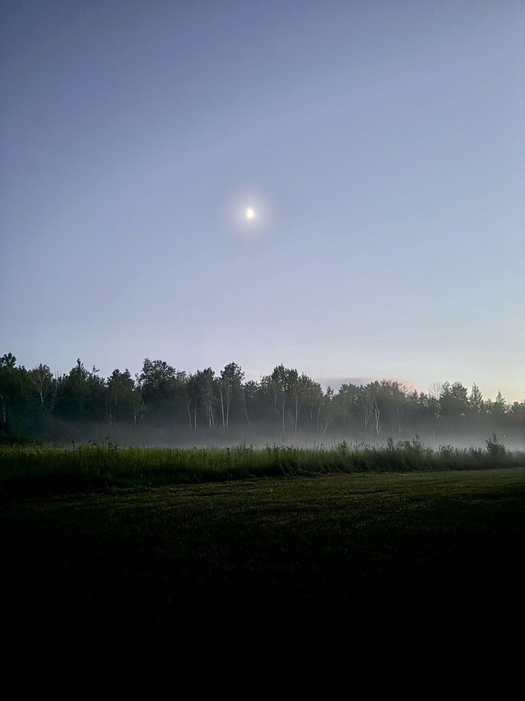 Photo of a twilight sky over a dark forest with a blanket of fog on the ground.