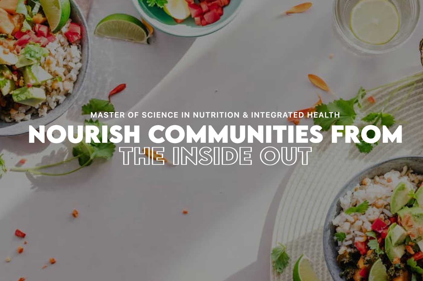 Nutrition & Integrated Health, Graduate Program