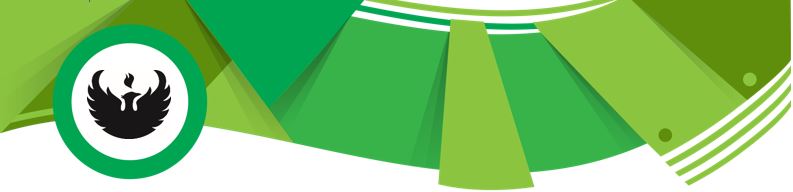Phoenix Orientation logo