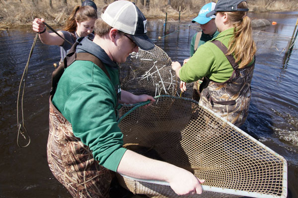 Students work in fisheries