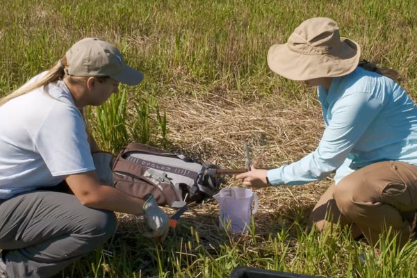 Two students taking soil sample from field