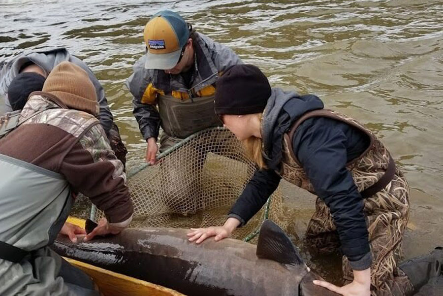 Student's studying fish in river